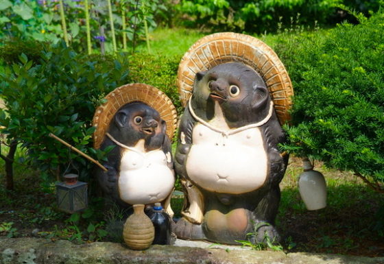 tanuki